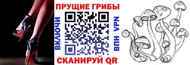 Псилоцибиновые грибы Magic Shrooms  Купить  Чехов 