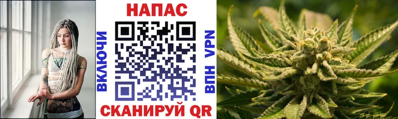 МАРИХУАНА сатива Купить закладки Чехов
